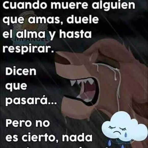 maryortiz860